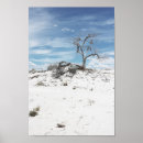 Search for white desert posters Photography