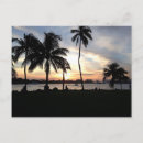 Search for south beach miami postcards Sunset