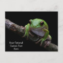 Search for toad cards invites Animals