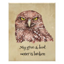 Search for birdwatching posters Owl