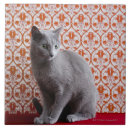Search for wallpaper tiles Animal