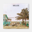 Search for belise magnets Tropical