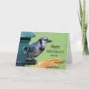 Search for blue jay birthday cards Bird lover