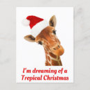 Search for giraffe christmas cards Snow