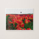 Search for tulip flowers puzzles Field