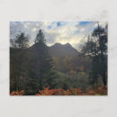 Search for tops postcards Sunset