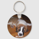 Search for bernards round key rings Dogs