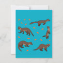 Search for pine marten Forest