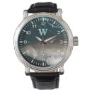 Search for shark watches Ocean