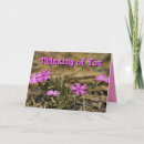 Search for blank congratulations cards Pink