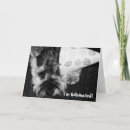 Search for miniature schnauzer birthday cards Animal