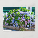 Search for picket horizontal postcards Pink