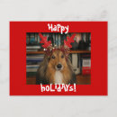 Search for sheltie christmas cards Cute