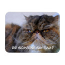 Search for persians magnets Cat