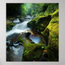 Search for appalachia posters Forest