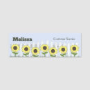 Search for picket Sunflowers