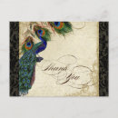 Search for black feathers postcards Vintage