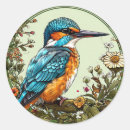 Search for kingfisher stickers Nature