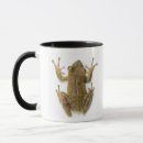Search for high angle view mugs No people