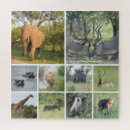 Search for south africa puzzles Elephant
