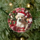 Search for labrador christmas tree decorations Pet