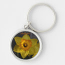 Search for daffodil key rings Nature