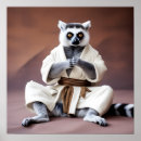 Search for sensei posters Judo