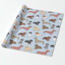 Search for dachshunds gift wrap Cute