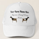 Search for herding hats Animal