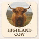 Search for highland cow coasters Animal