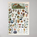 Search for life learning posters Science