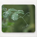 Search for tears electronics Rain