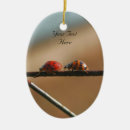 Search for ladybug oval christmas tree decorations Insect