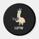 Search for weights magnets Fitness