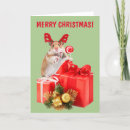 Search for hamster christmas cards Cute