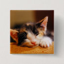 Search for sleep square badges Cute animals