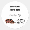 Search for farm pig stickers Swine