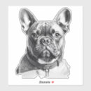 Search for fluffy dog stickers Canine