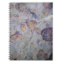 Search for ore Rock