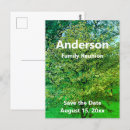 Search for family picnic save the date postcards Tree