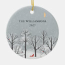 Search for winter scene christmas tree decorations Nature