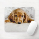 Search for spaniel puppy mouse mats Cute baby animal
