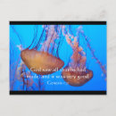 Search for beautiful ocean life postcards Underwater
