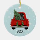 Search for pointer dog christmas tree decorations Xmas