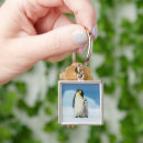 Search for penguin baby key rings Snow hill island