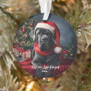 Search for mastiff christmas tree decorations Funny