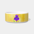 Search for bearded iris Flower