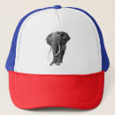 Search for drawing hats Animals