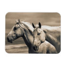 Search for quarters magnets Ranch