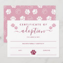 Search for adopted cat Cute